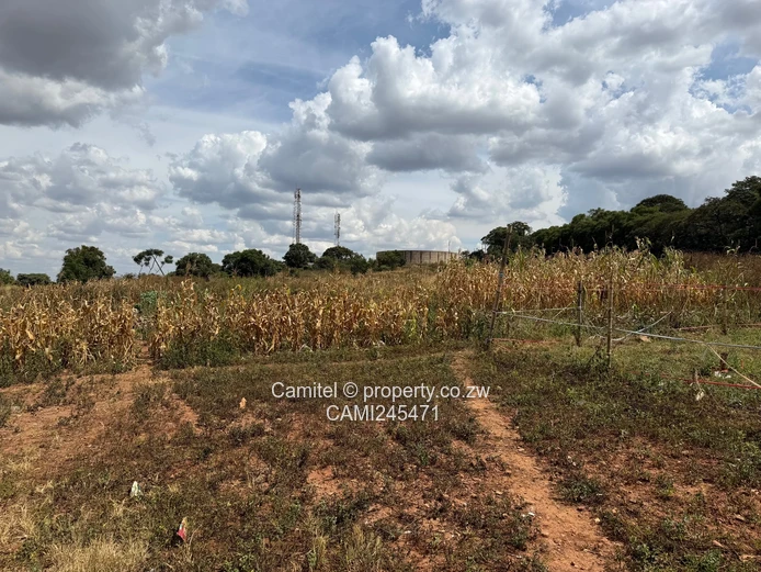 Open 13,000 m² Kuwadzana Extension Lot — Subdividable, Serviced (Sole Mandate)