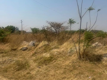 Commercial & Industrial Land