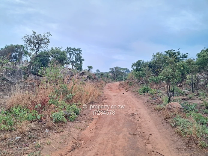 Crowhill views stand 1250 sqm  (Sole Mandate)