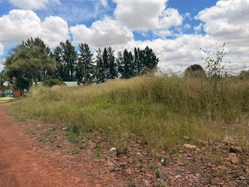 Stands & Residential Land