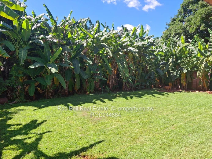 3 Bedroom Home For Rent Greendale