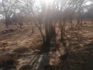 Farm & Agricultural Land