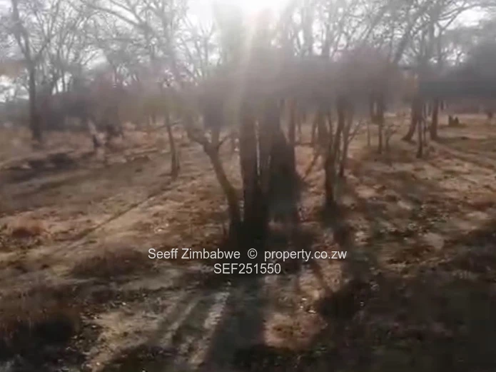 Prime Agri-Residential Plots in Kwekwe: Unleash the Potential!