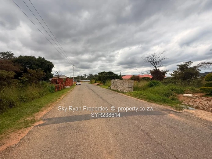 Arlington Stand For Sale