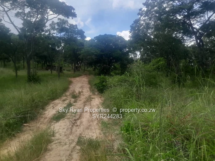 Carrick Creagh Stand  For Sale