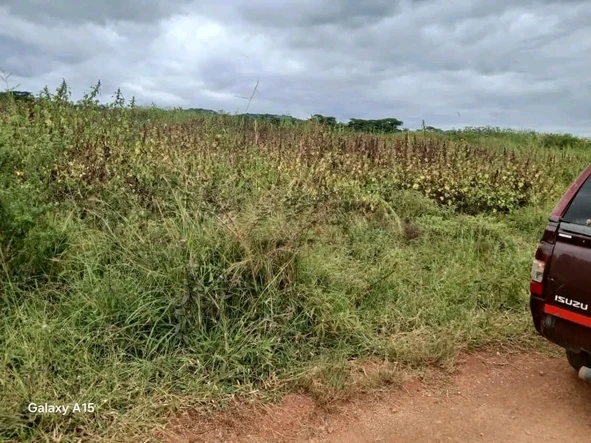 Farm & Agricultural Land