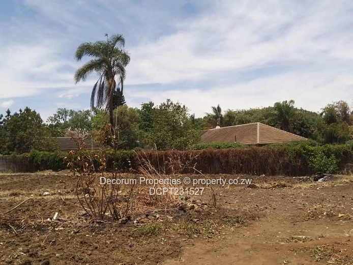 1000 m2 Marlborough Stands — Serviced.