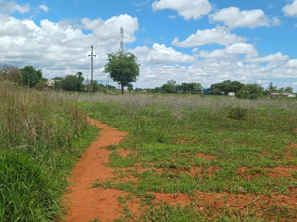 Commercial & Industrial Land