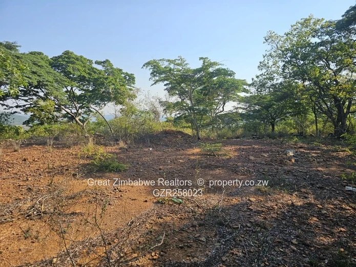 STAND FOR SALE IN BUSHMEAD TOWNSHIP, with Lakeview (Sole Mandate)