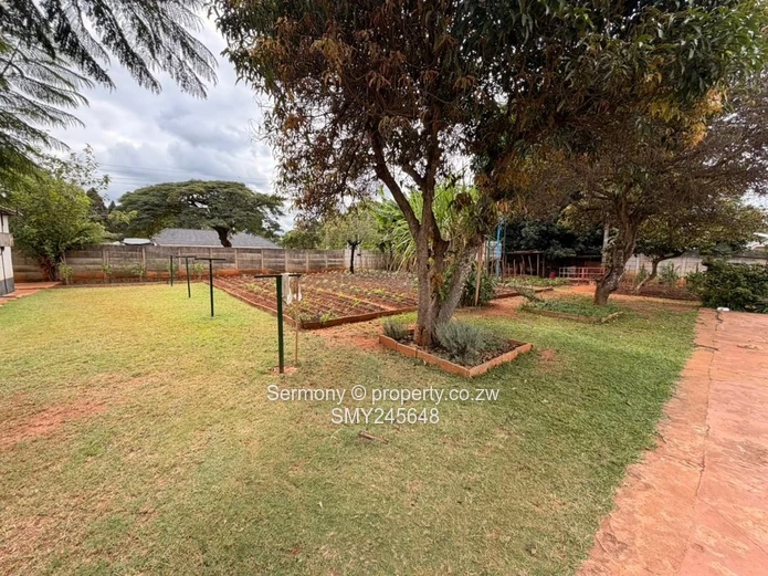 Residential house for rent