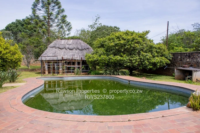 great investment opportunity (Sole Mandate)