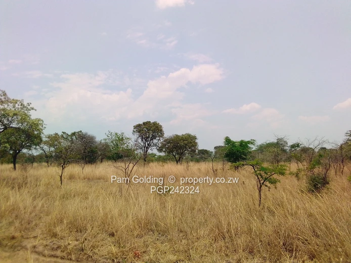 Prime Holiday Resort Stand for Sale – Juliasdale, Nyanga 