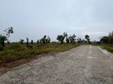 Stands & Residential Land