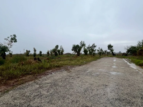 Stands & Residential Land