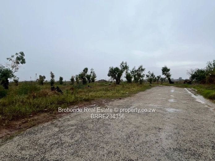 Nyabira Luna Park Stands for sale, full Christmas Package! US$30/sqm