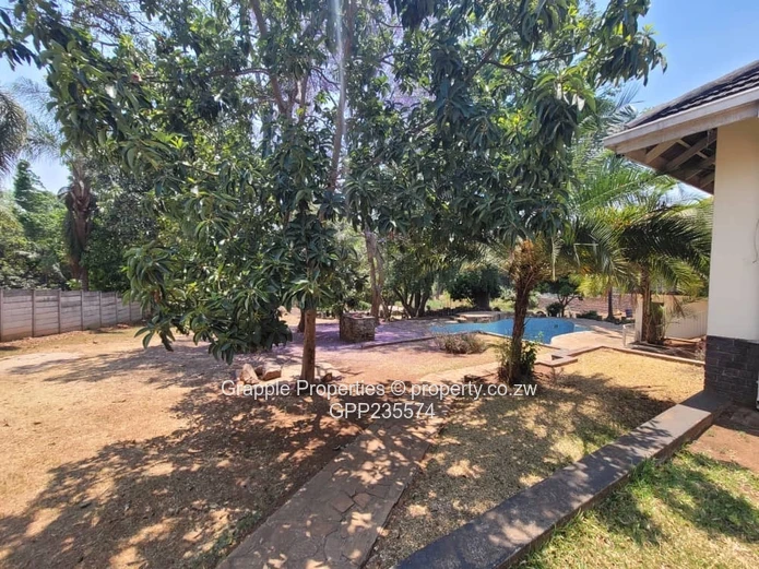 Greystone Park house to let