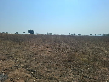 Farm & Agricultural Land