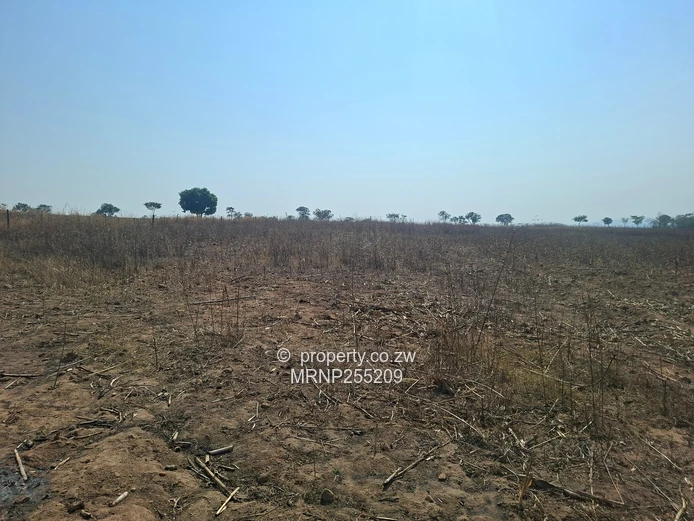 Headlands Plot for sale  (Sole Mandate)