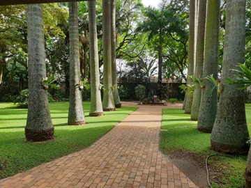 4 Bedroom Flat & Apartment