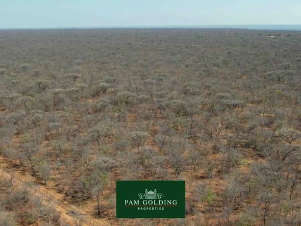 Farm & Agricultural Land