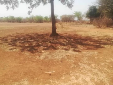 Farm & Agricultural Land