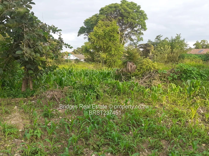 Property Development 101! The stuff of dreams!