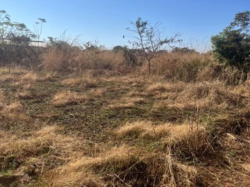 Commercial & Industrial Land