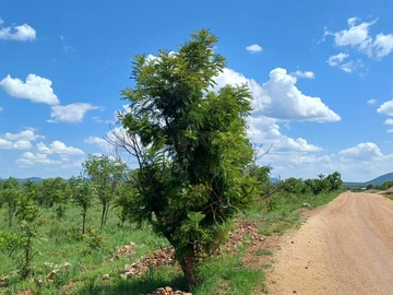 Commercial & Industrial Land