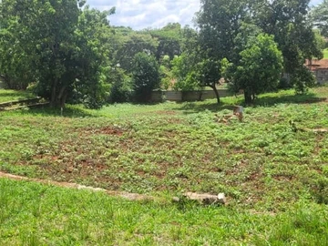 Commercial & Industrial Land