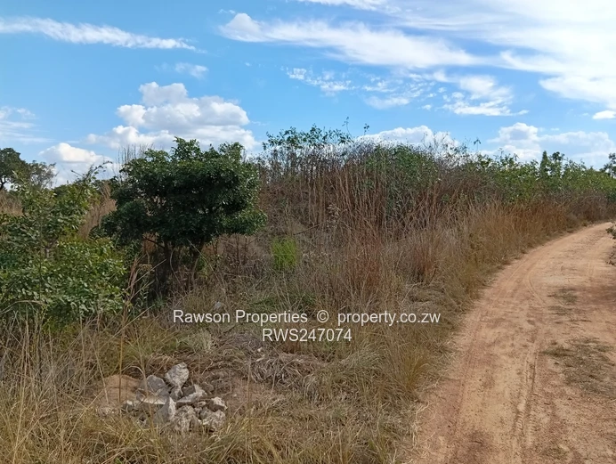 Agroplot for Sale in Ruwa