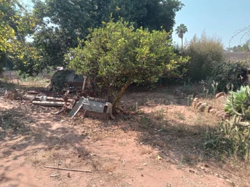Stands & Residential Land