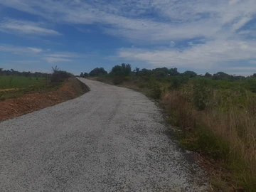 Farm & Agricultural Land