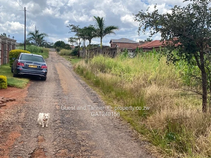 MANRESA INVESTMENT STAND - Prime Development Opportunity Near the Women’s University