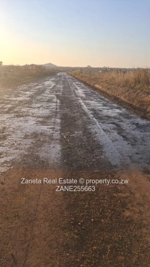 Spitzkop stand for sale