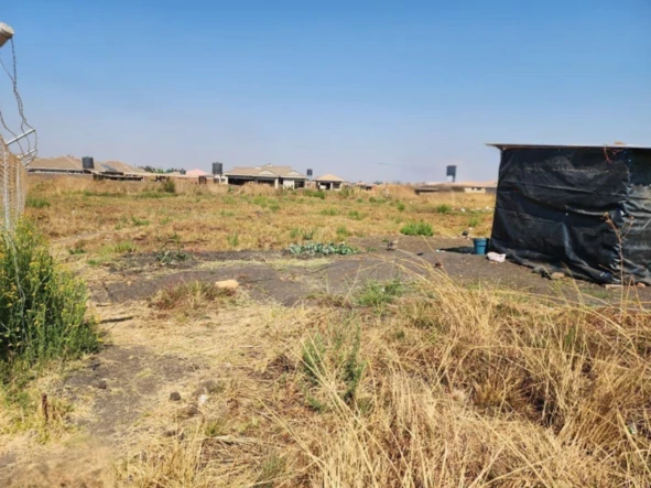 Stands & Residential Land