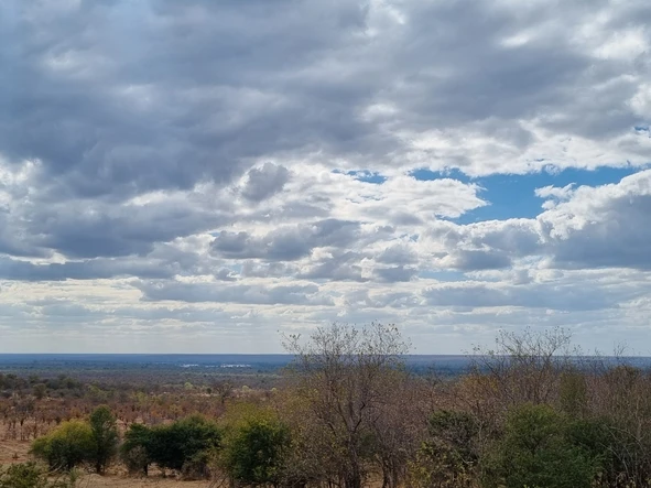 Commercial & Industrial Land