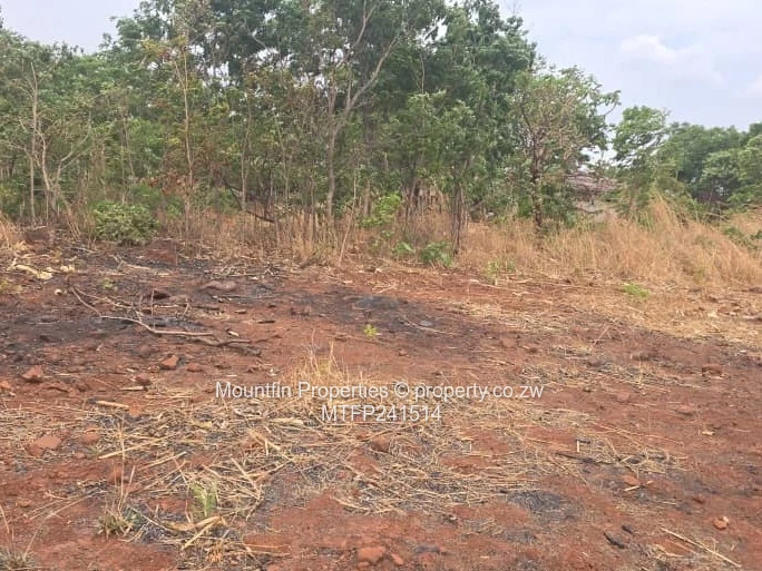 Mazowe Concession Stand 