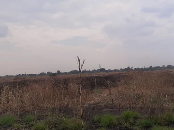 Commercial & Industrial Land