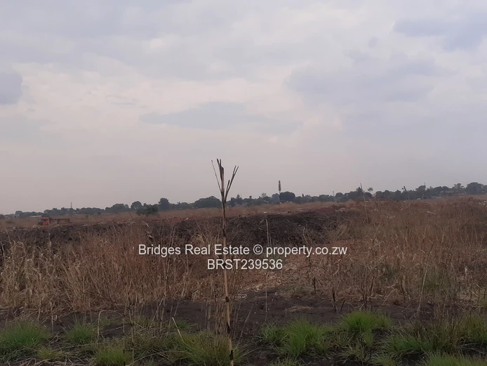 Meet the future,today! The richest sq mile in Harare.