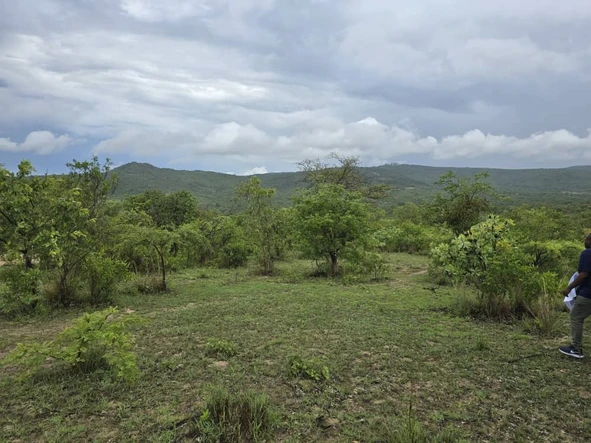 Farm & Agricultural Land