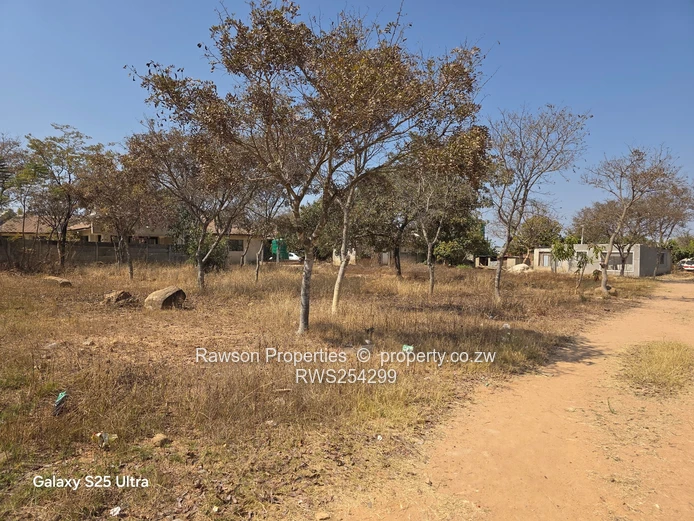 Riverside Ruwa Stand For Sale!