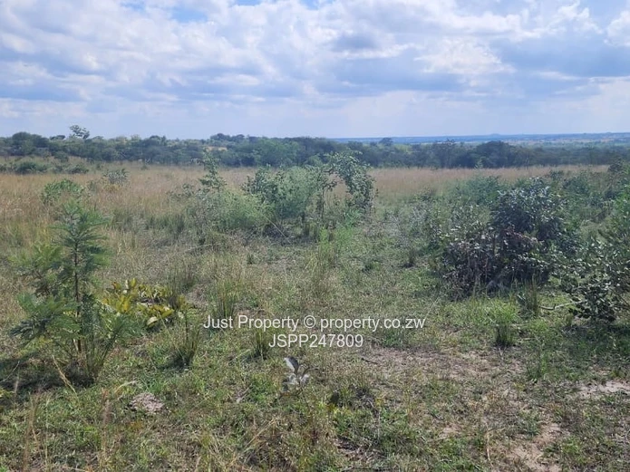 Wedza Primary and Secondary School stand