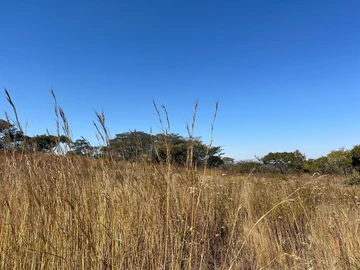 Farm & Agricultural Land