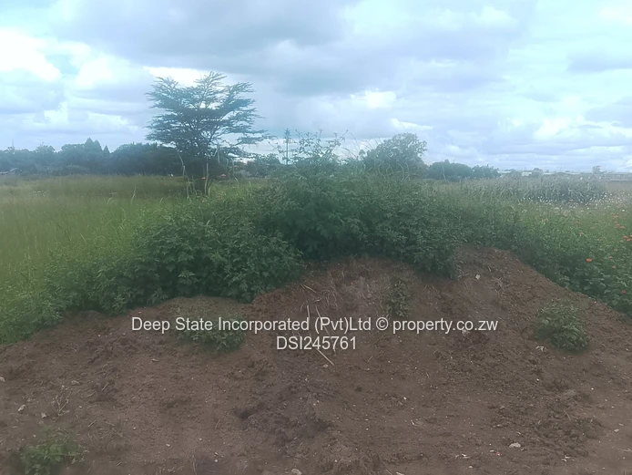 Mt pleasant/Vainona stand for sale 