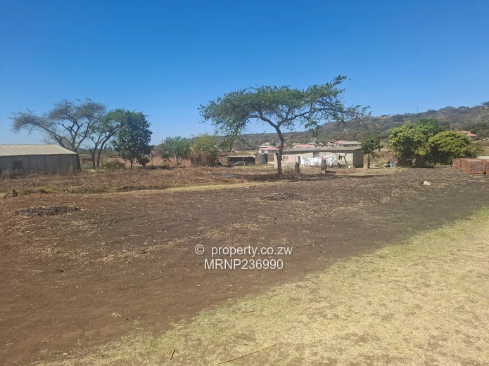 Sawara Hills Crowhill Phase stands for sale