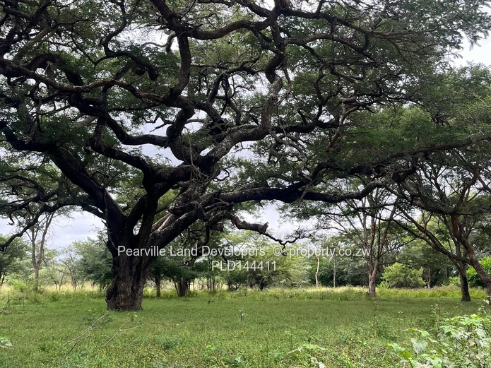 20-23ha agro-residential land,3km from the Masvingo Rd