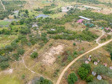 Farm & Agricultural Land
