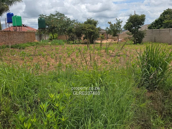 Rockview stand for sale! 