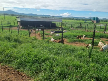 Farm & Agricultural Land