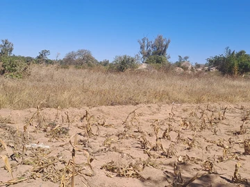 Farm & Agricultural Land